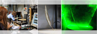 Wind Tunnel Testing